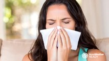 How to keep fall allergies from acting up