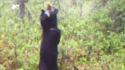 Piège à clics S.1 E.10 "Twerk"