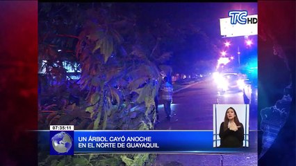 Un árbol cayó anoche en el norte de Guayaquil