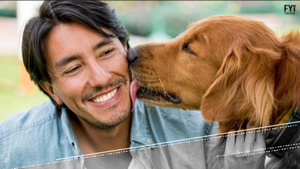 Aparelho pretende traduzir latidos de cachorros