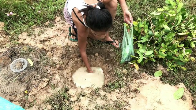 Beautiful Slim Girl Using Fan Guard Deep Hole Snake Trap With PVC Pipes To Catch a Lot of Snakes