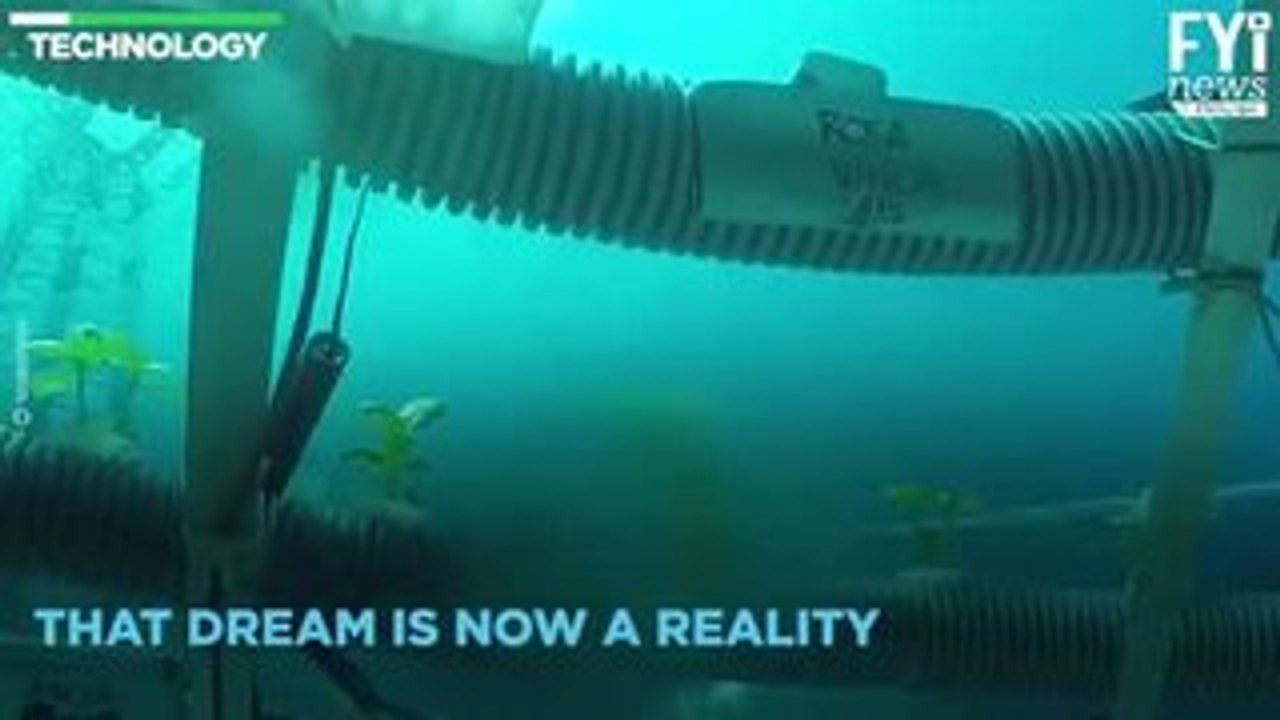Crops Under The Sea!
