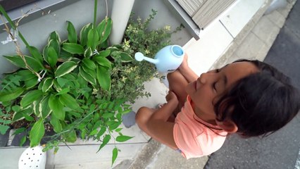 Old Japanese Apartment vs. New House