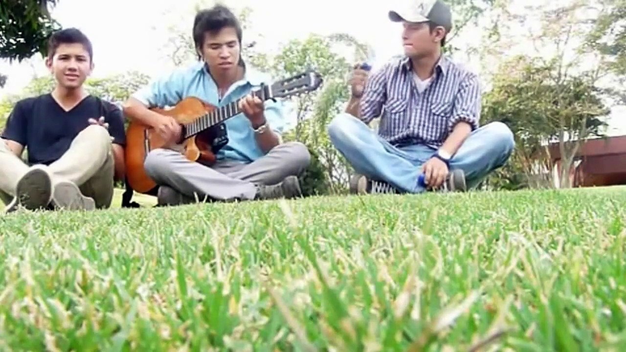 Altavozband