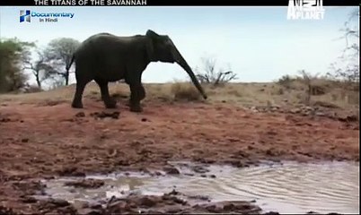 THE TITANS OF THE SAVANNAH  Animal Planet Program In Hindi  part 1