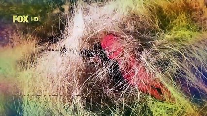 sungurlar-yeni-sezon-finalini-1-oca-2018-pazar