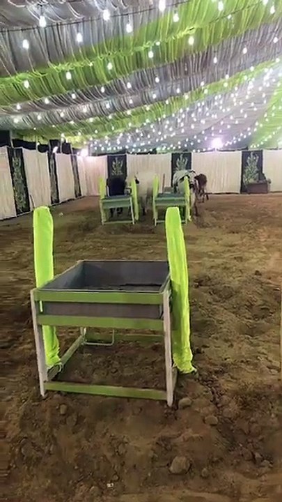 Jamal Cattle Farm Bulls Unloading 2017 - Cow Mandi 2017 - Eid ul Azha 2017