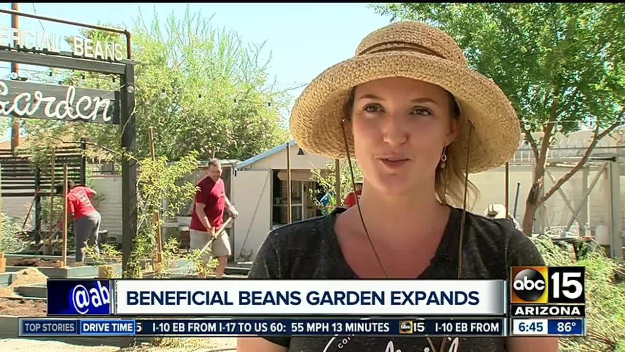 Beneficial beans garden expands