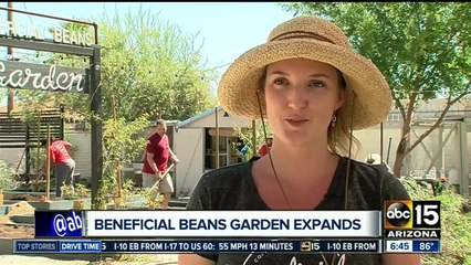 Beneficial beans garden expands
