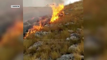 Zjarret në Gjirokastër, rrezikohet edhe nënstacioni i Grapshit - Top Channel Albania - News - Lajme