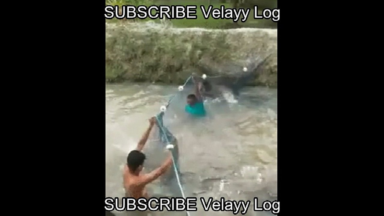 Power Of Unity