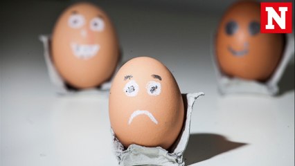 What to know about Europe's egg crisis