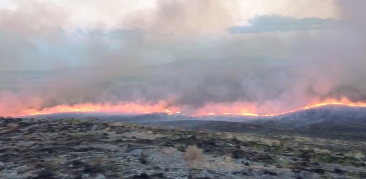 Firefighters Contain 9,800-Acre Dune Fire in Nevada