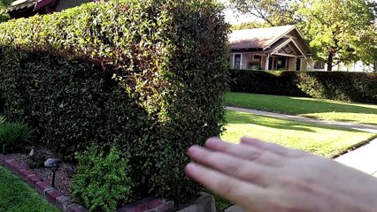 Halloween 1978 Filming Locations