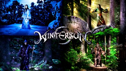 Wintersun: The Forest Seasons - Review