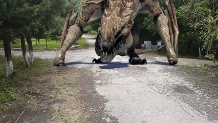 Dragon in real Life caught on camera