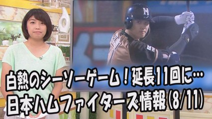 日本ハム 白熱のシーソーゲーム！延長11回に… 昨日の楽天戦 2017.8.11 日本ハムファイターズ情報 プロ野球