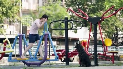 A friend to stay with you forever - Try not to cry while watching this