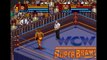WCW Superbrawl wrestling SNES all of the championship belts.