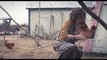 Maudie Trailer 2017 Sally Hawkins Movie Official [HD]