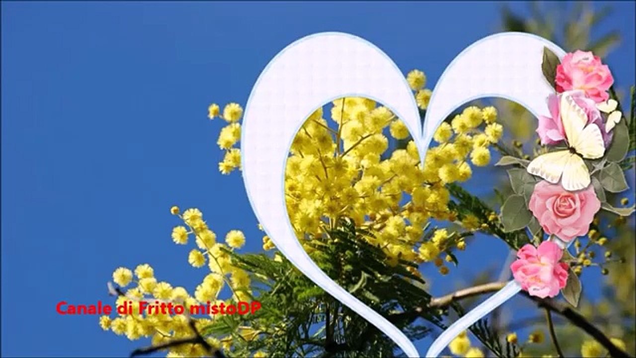 Frasi divertenti festa della donna