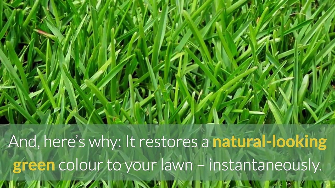 What is Lawn Paint