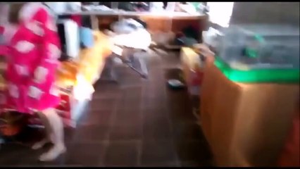 ЛУЧШИЕ ПРИКОЛЫ 2017 МАРТ  Лучшая Подборка Приколов #10 Топ Самые Смешные Видео Приколы YouTube