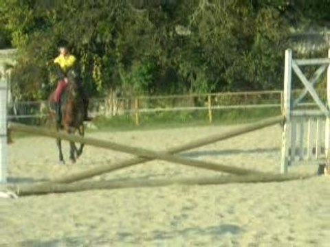 Moi et Mélo ( spa , double , oxer , croisillons )