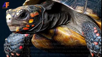 Top 10 Astonishing Facts You don't Know Before - EP 2