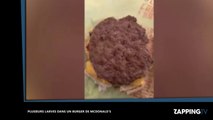 McDonald's : Une femme retrouve plusieurs larves dans le burger de son enfant (vidéo)