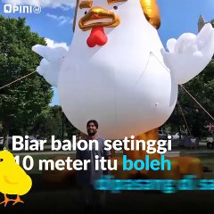 Ayam Protes Donald Trump