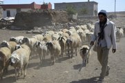 Çobanlık Yaparken Çalıştı, İlahiyat Fakültesini Kazandı