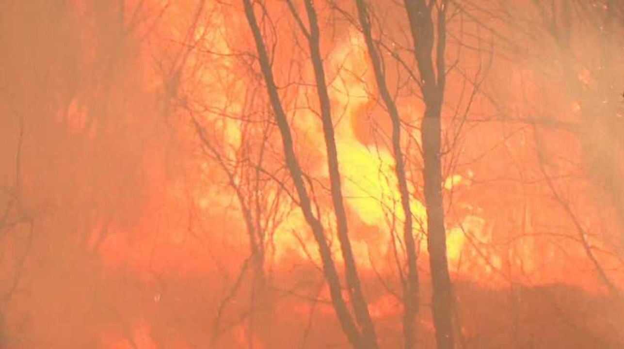 Incendies : le Portugal de nouveau ravagé par les flammes
