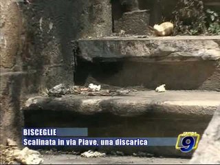 BISCEGLIE. Scalinata in via Piave, una discarica