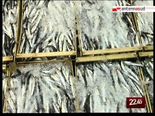 TG 07.09.10 Pesce crudo, buono ma pieno di insidie