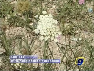 BARLETTA. Attivo il campionamento dei pollini