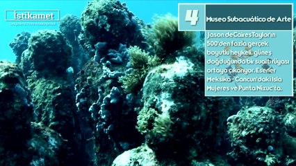 Dünya'nın sadece su altında görebileceğiniz güzellikleri!