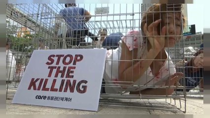 Corea del Sud: Carne di cane? No, grazie