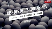 Crise des œufs contaminés : 250 000 œufs importés en France