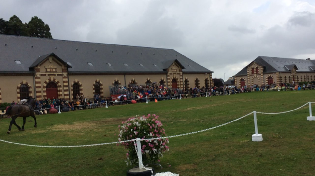 Défilé d'attelages dans la cour du Haras