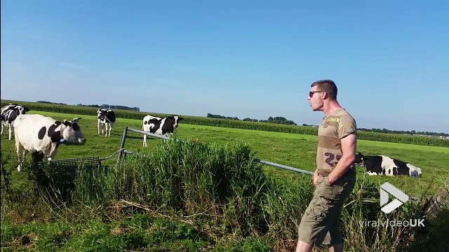 Ce mec attire les vaches en lâchant d'énormes ROTS !!