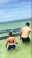 Des lamantins nagent à côté de touristes sur une plage de Floride !