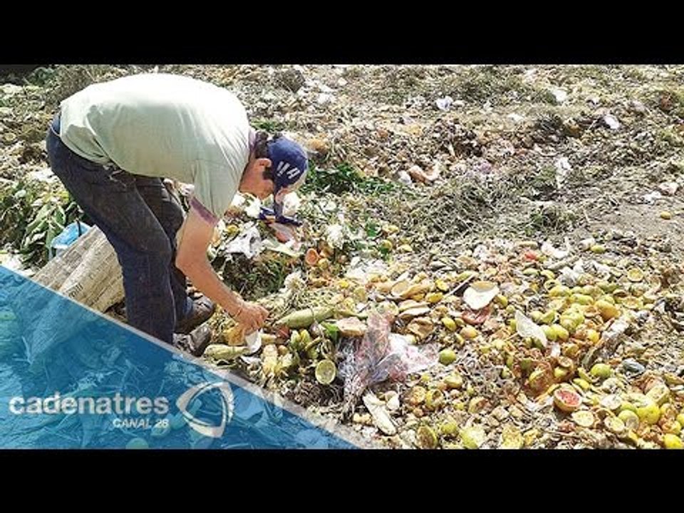 Habitantes de Neza viven entre toneladas de basura - Vídeo Dailymotion