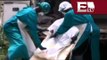 Médicos sin Fronteras advierten sobre el brote del virus ébola en África/ Global