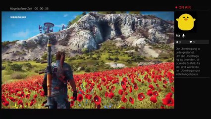 Ne chillige runde just cause (34)