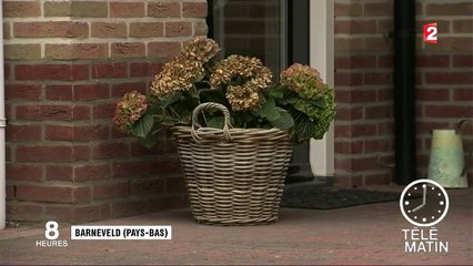 Oeufs contaminés : douze pays désormais touchés