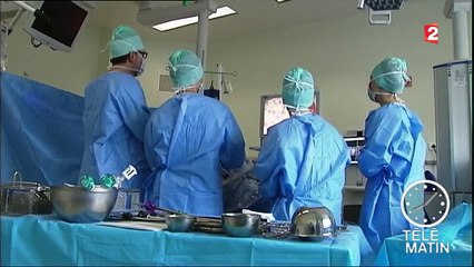 Les porcs, futurs fournisseurs d'organes pour l'homme ?