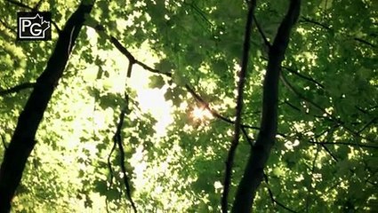 Instant Star S04E02 She Drives Me Crazy