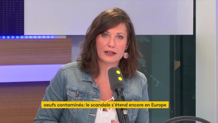 Œufs contaminés : le ministre de l’Agriculture “minimise la situation”, affirme Julien Bayou