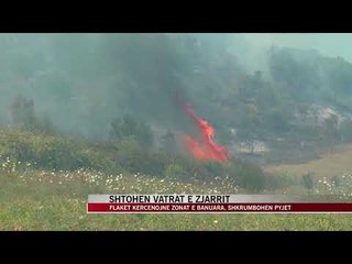 Flakët kërcënojnë zonat e banuara, shkrumbohen pyjet - News, Lajme - Vizion Plus